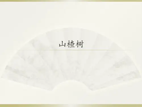 人音版初中七年级下册音乐(简谱)山楂树