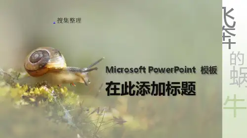 蜗牛PPT模板