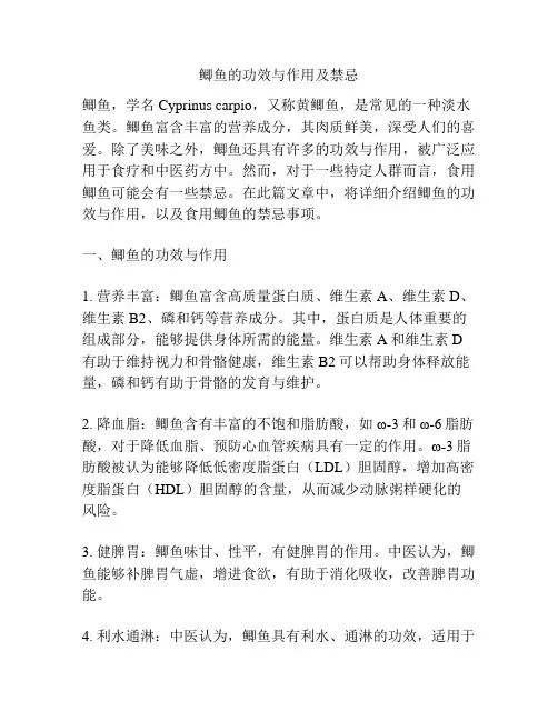 鲫鱼的功效与作用及禁忌