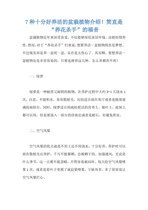 7种十分好养活的盆栽植物介绍!简直是“养花杀手”的福音