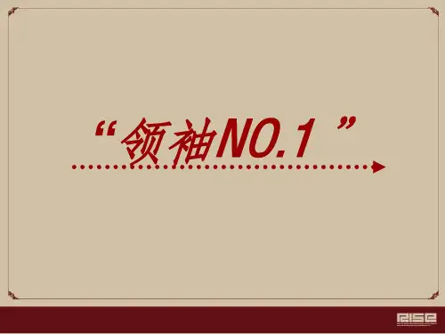 商业街招商典范ppt课件