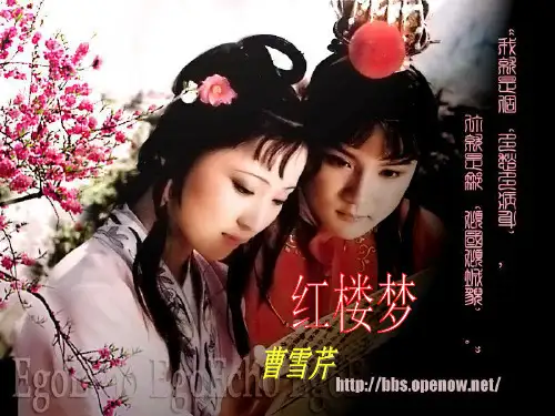 宝玉挨打