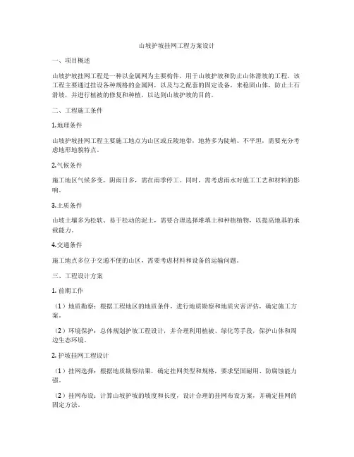 山坡护坡挂网工程方案设计