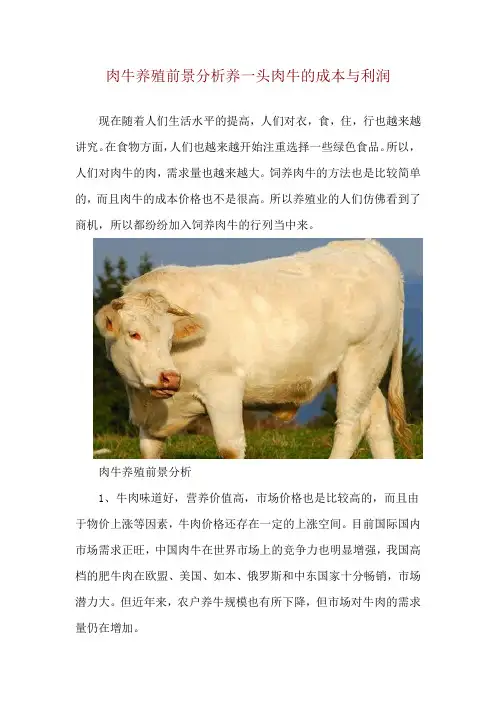 肉牛养殖前景分析 养一头肉牛的成本与利润