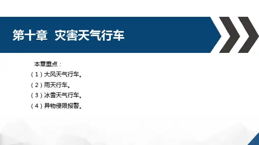 高速铁路技规基础教程-第十章灾害天气行车
