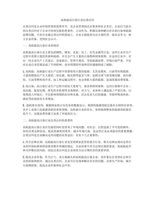 高耗能高污染行业自查自纠