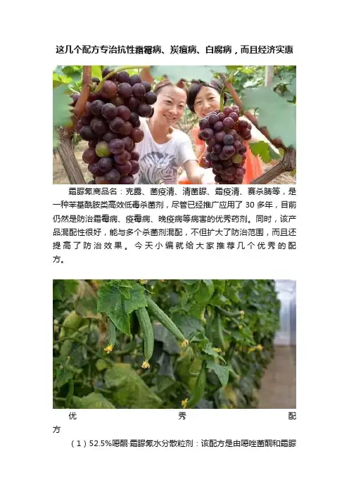 这几个配方专治抗性霜霉病、炭疽病、白腐病，而且经济实惠