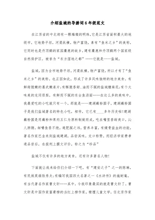 介绍盐城的导游词6年级范文（2篇）