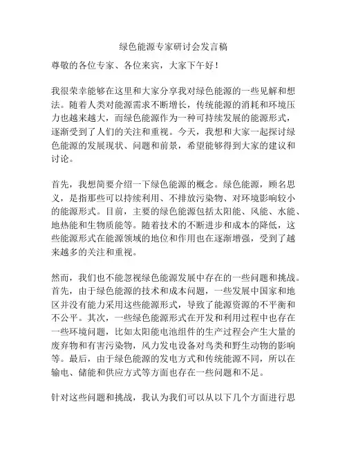 绿色能源专家研讨会发言稿