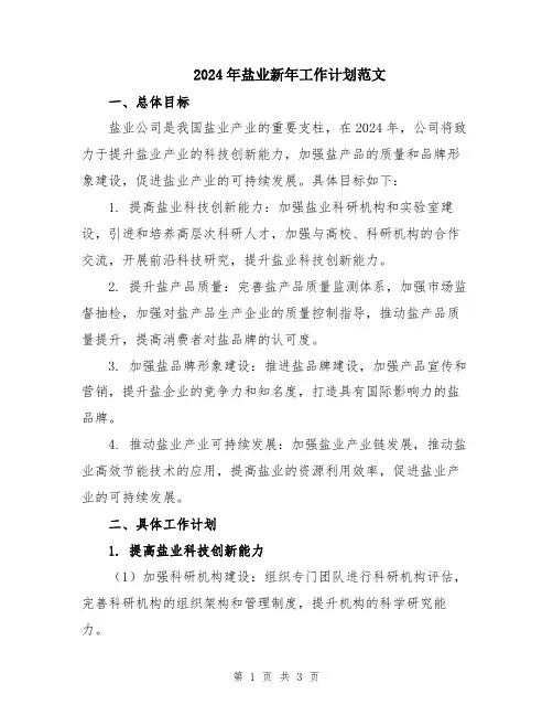 2024年盐业新年工作计划范文