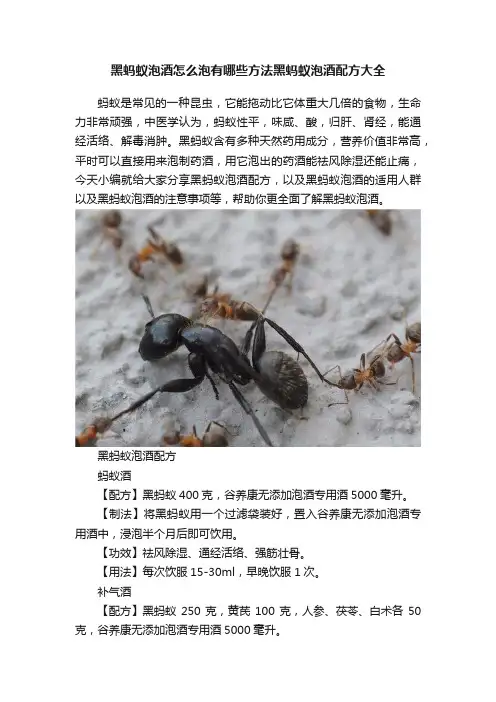 黑蚂蚁泡酒怎么泡有哪些方法黑蚂蚁泡酒配方大全