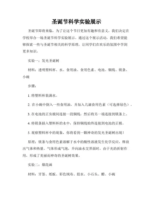 圣诞节科学实验展示