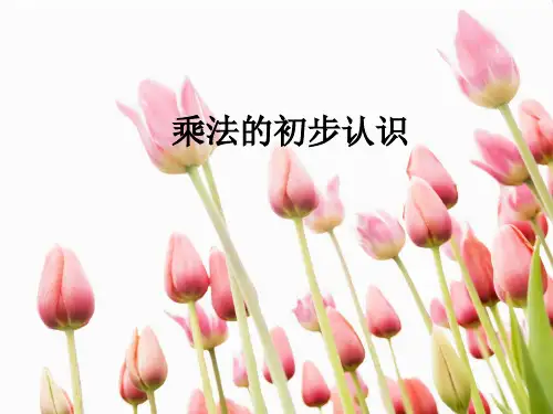 新人教版二年级数学上册：《乘法的初步认识》课件