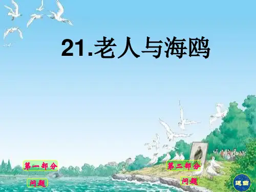 21《老人与海鸥》我上课用PPT课件