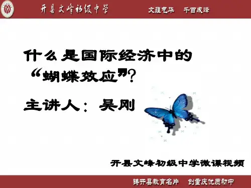 经济全球化与蝴蝶效应