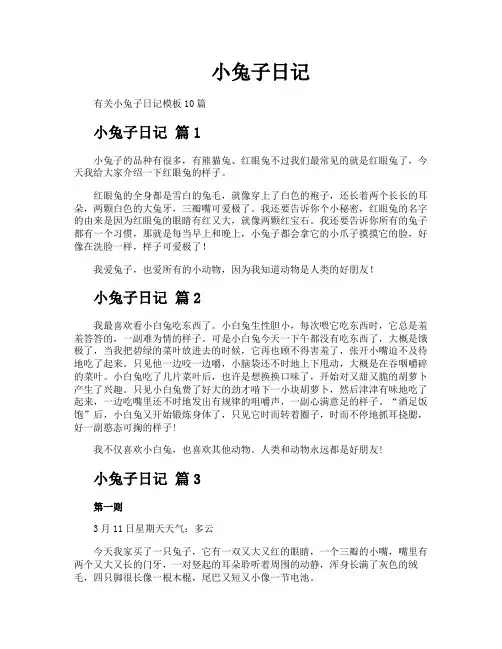 小兔子日记