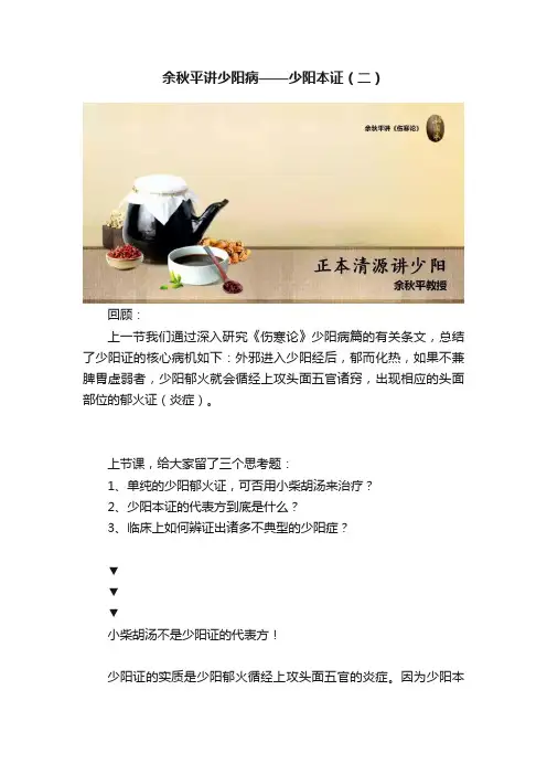 余秋平讲少阳病——少阳本证(二)