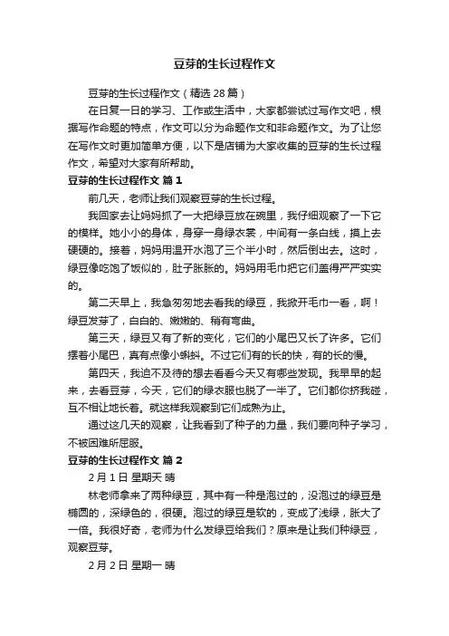 豆芽的生长过程作文