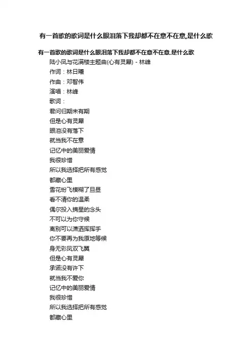 有一首歌的歌词是什么眼泪落下我却都不在意不在意,是什么歌