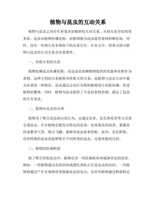 植物与昆虫的互动关系