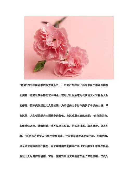 论楚辞对汉赋的影响