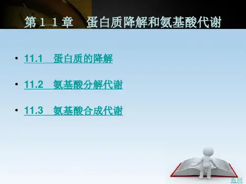 生物化学第11章
