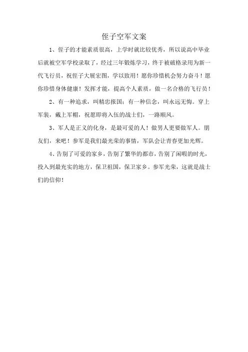 侄子空军文案