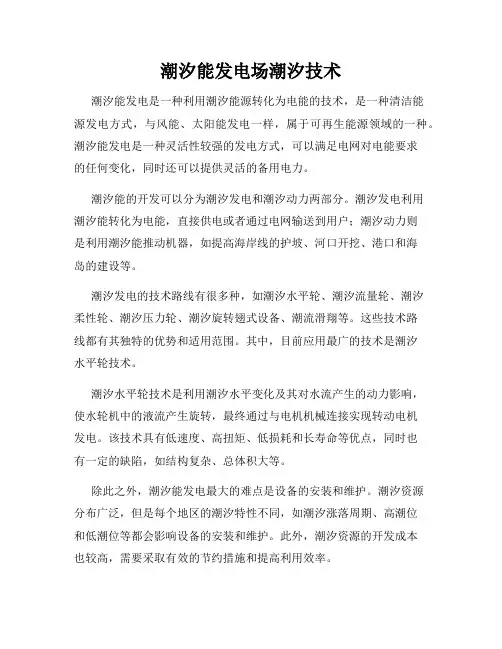 潮汐能发电场潮汐技术
