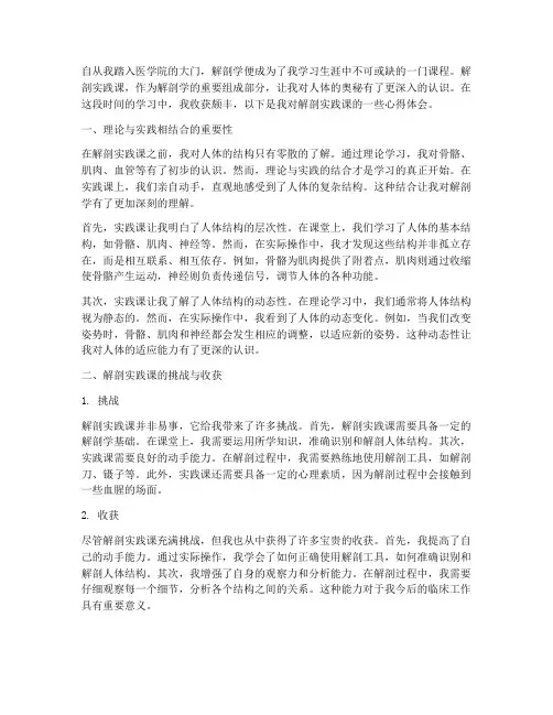 解剖实践课心得体会