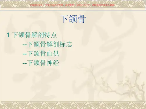下颌骨专题知识课件