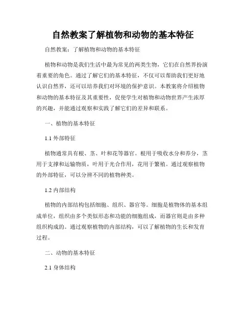 自然教案了解植物和动物的基本特征