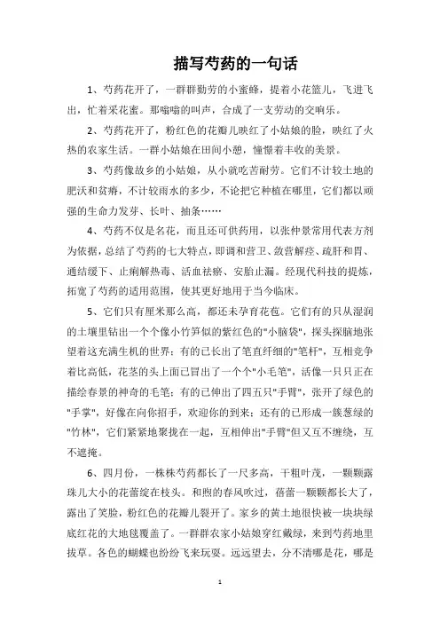 描写芍药的一句话