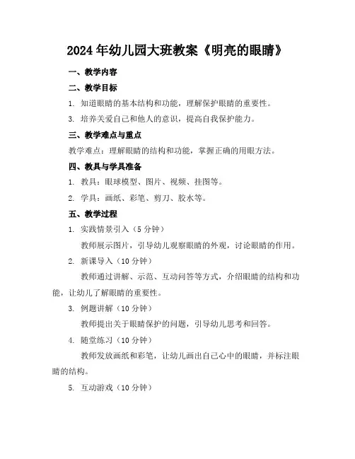 2024年幼儿园大班教案《明亮的眼睛》