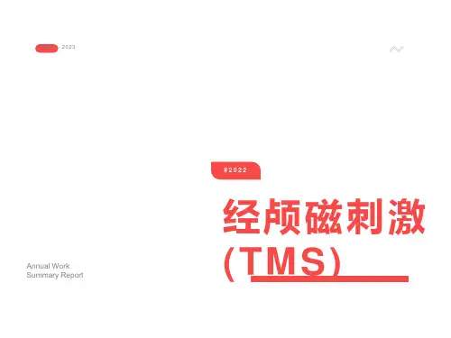 经颅磁刺激技术介绍