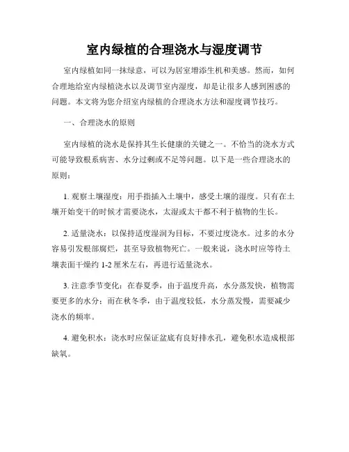 室内绿植的合理浇水与湿度调节