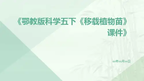 鄂教版科学五下《移载植物苗》课件