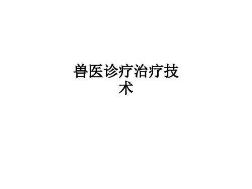 兽医诊疗治疗技术ppt课件