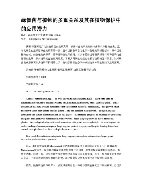绿僵菌与植物的多重关系及其在植物保护中的应用潜力