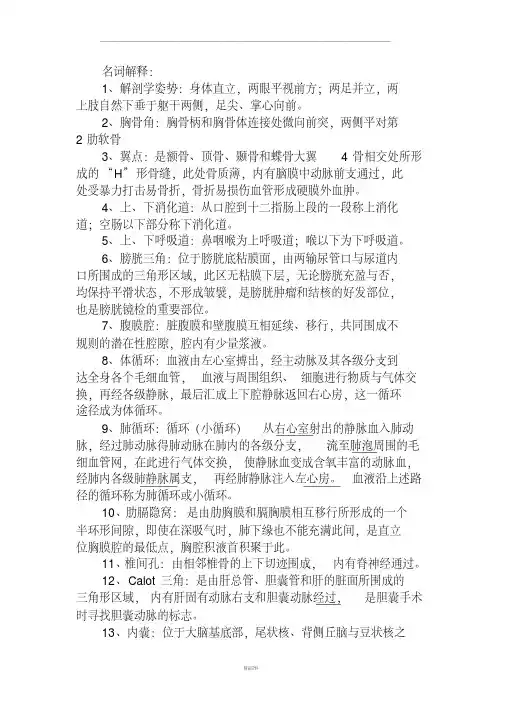 系统解剖学名词解释