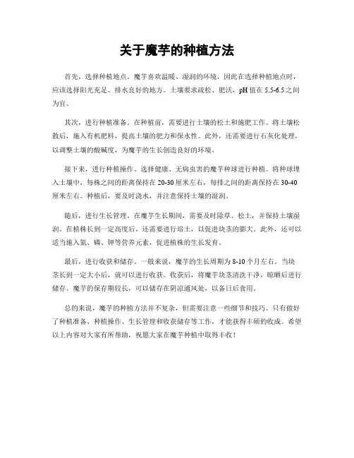 关于魔芋的种植方法