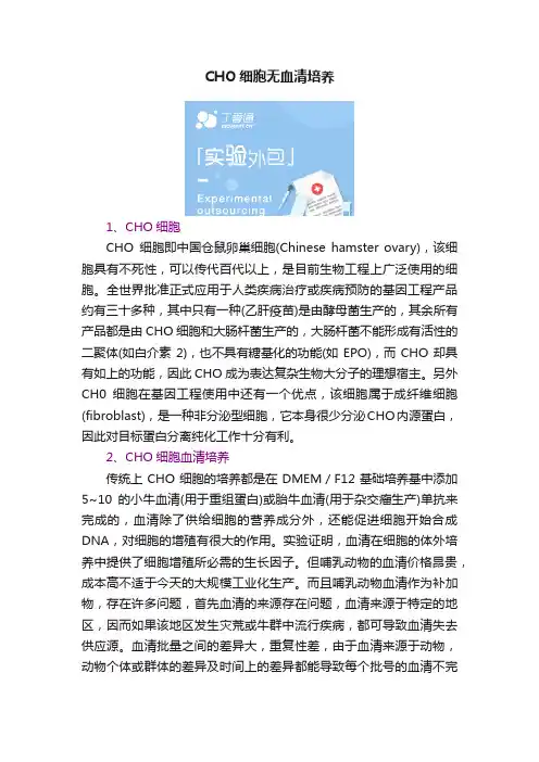 CHO细胞无血清培养