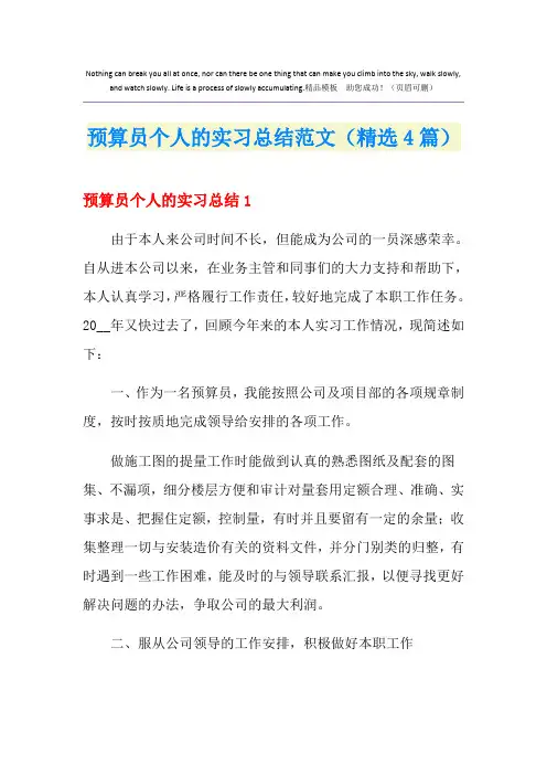 预算员个人的实习总结范文(精选4篇)
