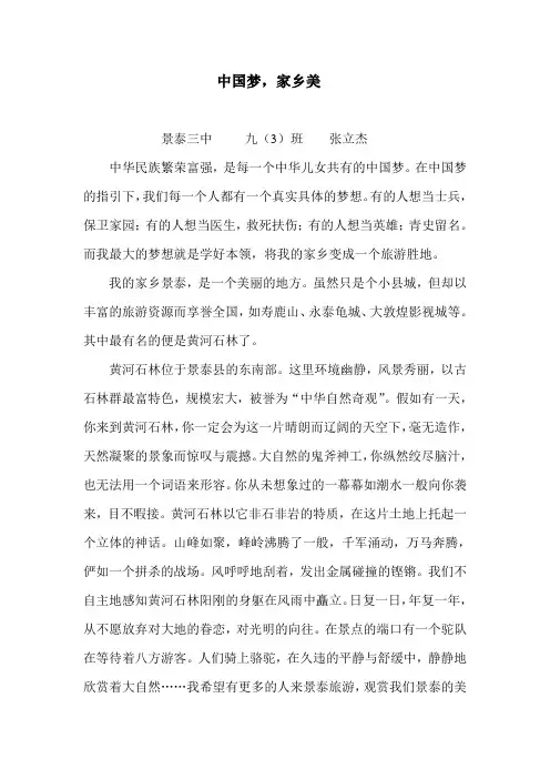 中国梦,家乡美(崔治廷)