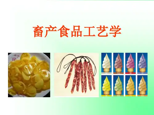 酱卤制皮和发酵制品精品PPT课件