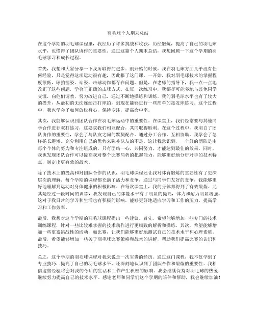 羽毛球个人期末总结