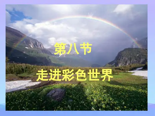 走进彩色世界ppt2 教科版优秀课件