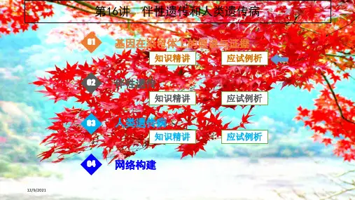 高考生物一轮复习第16讲伴性遗传和人类遗传病课件高三全册生物课件