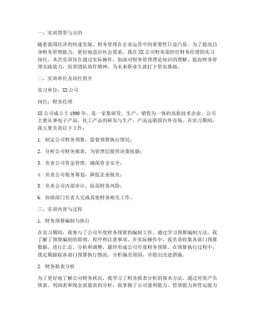 担任财务经理实训报告
