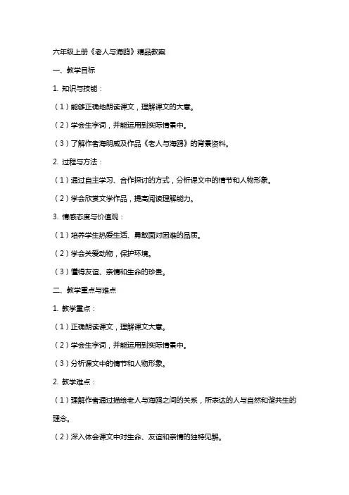 六年级上册《老人与海鸥》教案