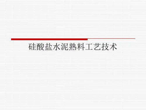 硅酸盐水泥熟料工艺技术